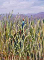 /album/photo-gallery-abstract-art/cassowary-in-the-cane-jpg/